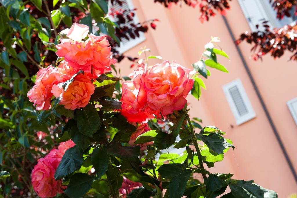 Hotel La Toscana Arezzo Ngoại thất bức ảnh